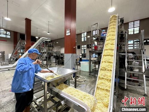 小竹筍闖出大世界 江西樂安做優做強竹筍產業，鋪就鄉村致富路